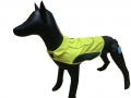 Pet Clothes Autumn And Winter Models Contrast Color  Vest Dog Clothes For Little Dog