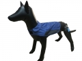 New Design Low Price Pet Apparel Dog Clothes Luxury